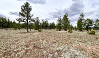 99 Big Notch Forest Trl, Bluewater, NM 87005