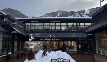 525 E Cooper Ave 205, Aspen, CO 81611