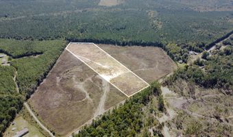 Lot 3 State Highway 790, Ackerman, MS 39735