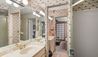 824 E Hopkins Ave 102 and 202, Aspen, CO 81611