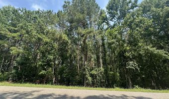 Ridge Road lot 1-E, Appling, GA 30802
