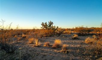 2358 S Cattle Crossing Rd, Yucca, AZ 86438