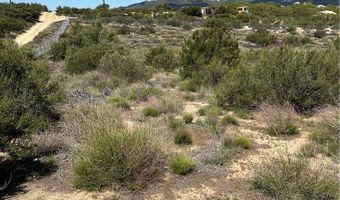0 Scouts Ln, Anza, CA 92539