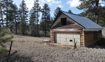 TBD Bear Creek Road, Bayfield, CO 81122