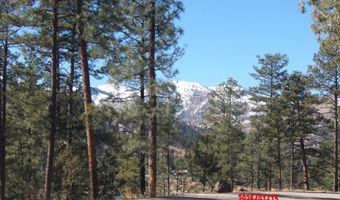 Lake Shore Drive 1, Alto, NM 88312