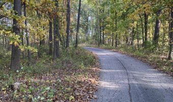 9540 Vincent Ave SE, Alto, MI 49302