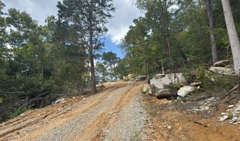 700 Acres Puncheon Creek Ln, Allred, TN 38542