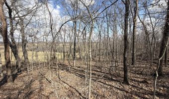 1790 County Rd A-435, Ava, MO 65608