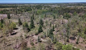 La Grant Road, Alger, MI 48610