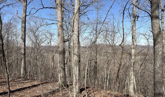Rt 1 County Rd 14-531, Ava, MO 65608