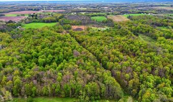 Beaver Road, Alexander, NY 14005