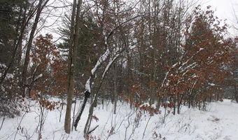 VL Good. Road, Alger, MI 48610