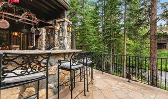 165 RIVER PARK Dr, Breckenridge, CO 80424