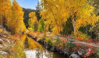 976 Wildwater Way, Almont, CO 81210
