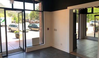 355 Gold Rivers Court Unit 2 & 2A 2 & 2A, Basalt, CO 81621