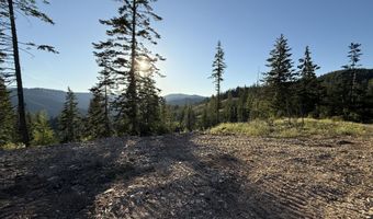 Nka E Doyle Road, Cataldo, ID 83810