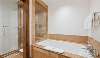 415 E Dean St. Unit 3 Week 11, Aspen, CO 81611