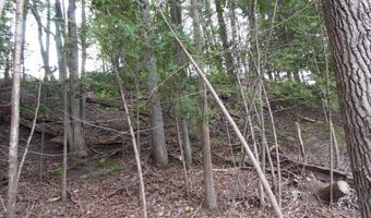 S Forest Lake, Alger, MI 48610