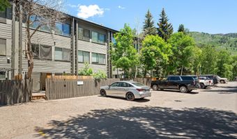 725 E Main St 107, Aspen, CO 81611