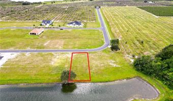 337 ADAMS VIEW Ln, Auburndale, FL 33823