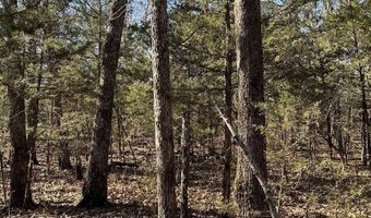 TBD Wolf Hollow Road, Ash Flat, AR 72513