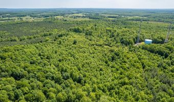 Lot 2 Tower Hill Rd, Appomattox, VA 24522