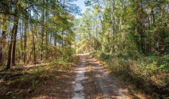 Tbd N COUNTY RD 1491, Alachua, FL 32615