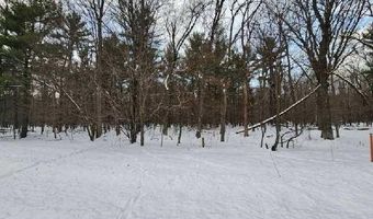 L28 And L29 S Badger Lane, Arkdale, WI 54613