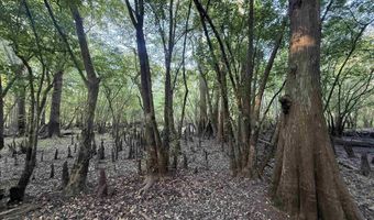 0 80 Acres-TBD Cantley Landing Rd, Andrews, SC 29510