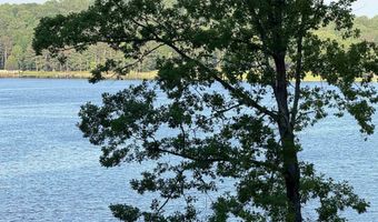 0 DAVIS ACRES Dr 72 & 73, Alpine, AL 35014