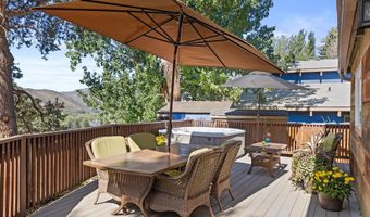 217 Longhorn Ln, Basalt, CO 81621