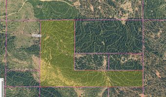 350 BREWER Rd, Appleton, WA 98602