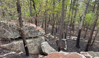 TBD Kiamichi Wilderness, Antlers, OK 74523