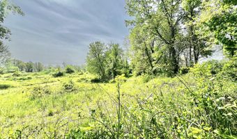 16400 28 Mile Rd, Albion, MI 49224