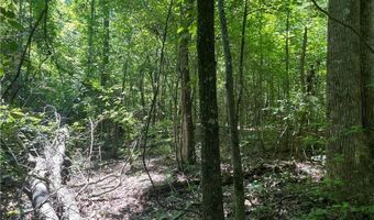 Fortner Road, Ball Ground, GA 30107