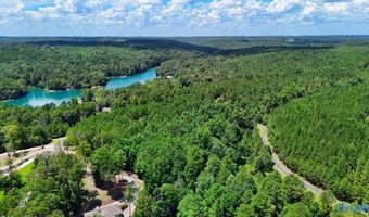Arley Lndg, Arley, AL 35541