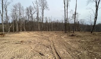3750 E New Roe Rd, Adolphus, KY 42120