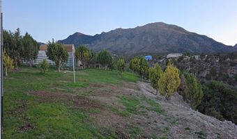 Bugling Bull Road, Cold Creek, NV 89124