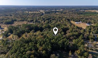 Barnes Rd, Andrews, SC 29510