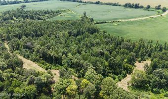 Barnacre Road, Batesville, MS 38606