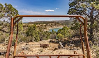 413 Delasso Loos Rd, Blanco, NM 87412