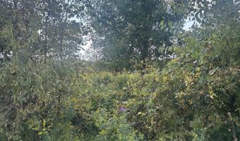4 Ashley Ln, Allenton, MI 48002