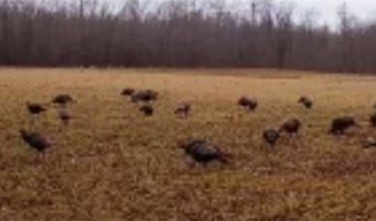6019 New London Rd, Ashtabula, OH 44004
