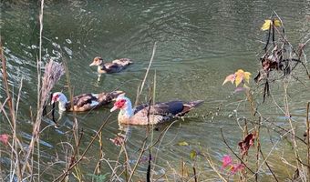 5400 COUNTY ROAD 128, Alexander City, AL 35010