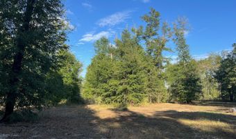 7958 NW County Rd 274, Altha, FL 32421