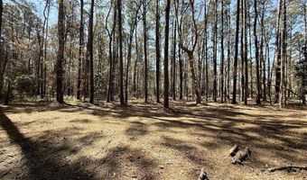 0 Lot 1 Creek Place Rd, Arapahoe, NC 28510