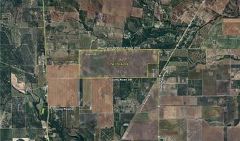 Fm-2044, Alice, TX 78332