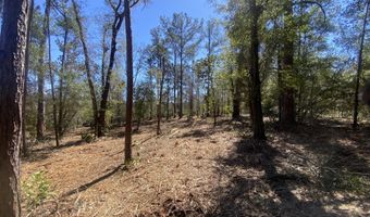 Pasofino Lane, Alford, FL 32420