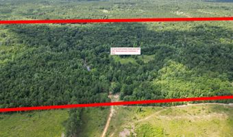 Hummingbird Lane, Ponce De Leon, FL 32455