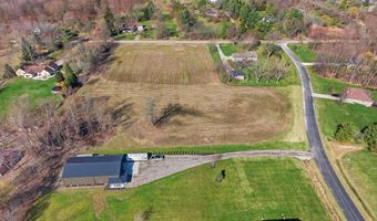 7036 Rea Ln, Almont, MI 48003